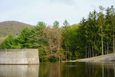 Scenic view of lake by trees against sky