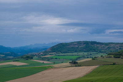 Scenic view of agricultural field against sky