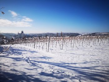 Scenic view of snow covered field against sky