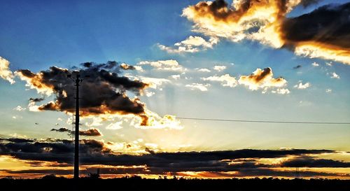 Low angle view of silhouette trees against sky during sunset