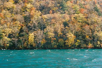 Scenic view of sea during autumn