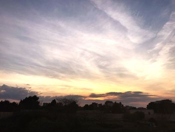 Silhouette trees against sky during sunset