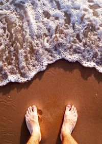 Low section of man standing on beach