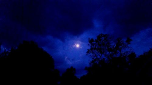 Low angle view of silhouette trees against sky at night