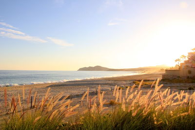 Scenic view of sea