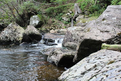 Scenic view of waterfall