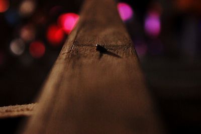 Close-up of plant against blurred background