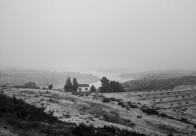 Scenic view of agricultural field against clear sky