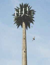 Low angle view of palm tree against blue sky