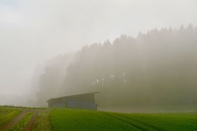 Scenic view of field against sky during foggy weather