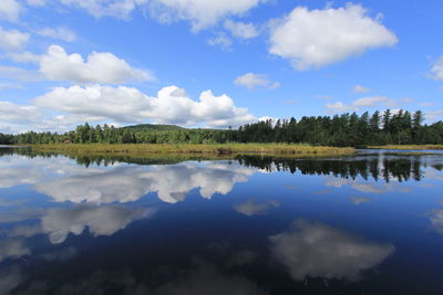 Reflection of trees in calm lake