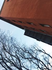 Low angle view of trees against clear sky