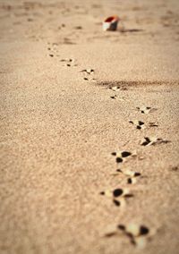 Surface level of sandy beach