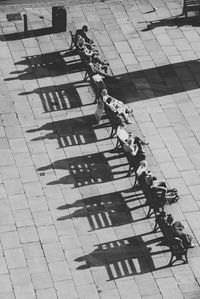 High angle view of people sitting on benches