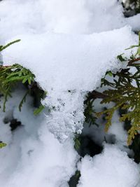 Close-up of frozen water