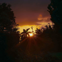 Sunlight streaming through silhouette trees against sky during sunset