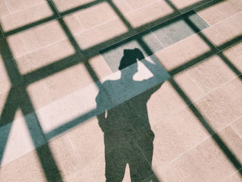 Shadow of man on zebra crossing