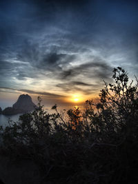 Silhouette of plants against cloudy sky during sunset