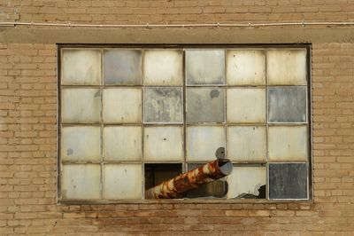 Cat lying on wall of building