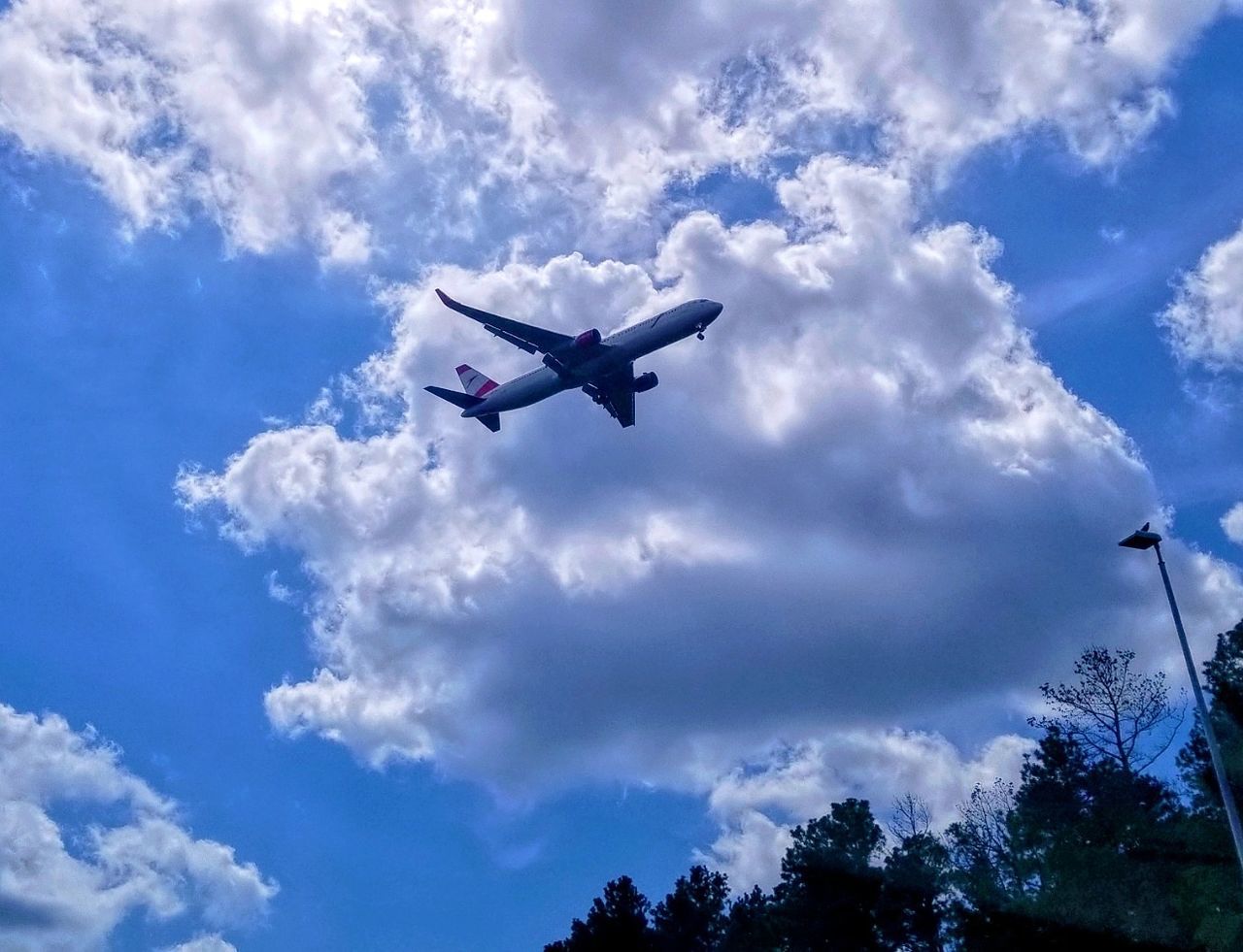 cloud - sky, sky, low angle view, air vehicle, transportation, airplane, flying, mode of transportation, nature, mid-air, no people, travel, outdoors, blue, motion, day, tree, beauty in nature, on the move, plane, ominous