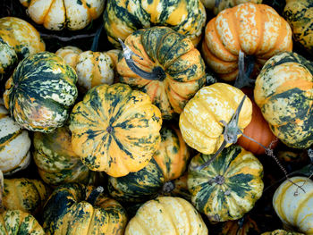 Full frame shot of pumpkins