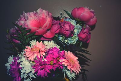 Close-up of pink flower over black background