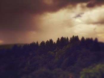 Trees on field against cloudy sky