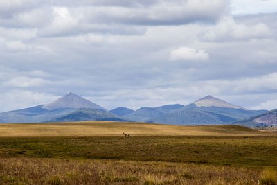 Scenic view of landscape and mountains against sky