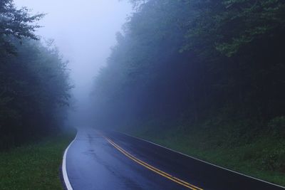 Road amidst trees against sky during foggy weather