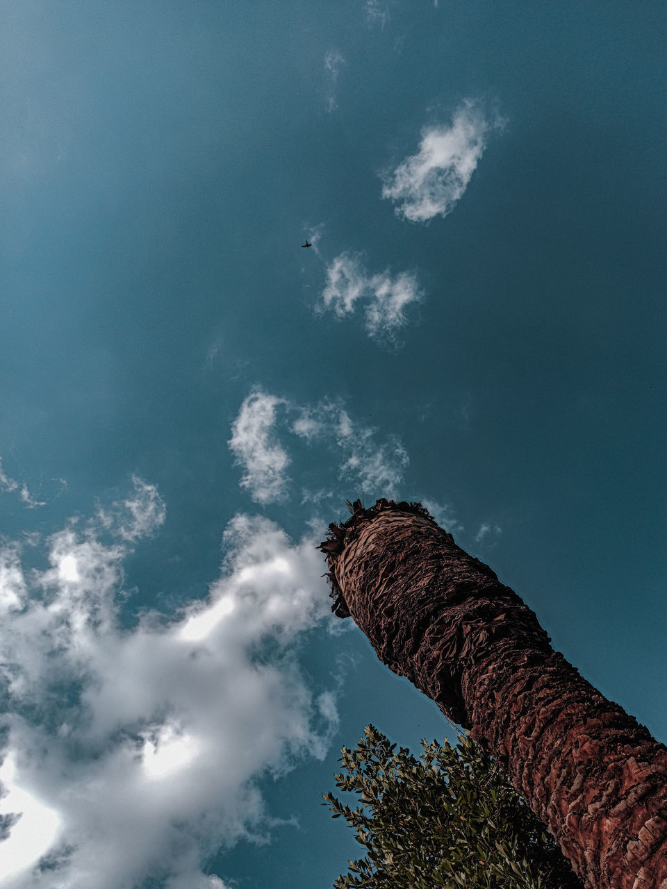 LOW ANGLE VIEW OF ROCK AGAINST SKY