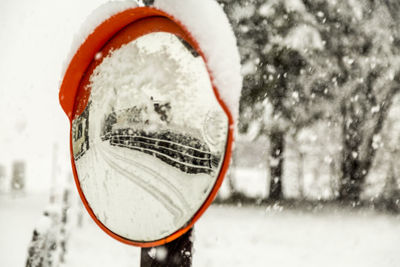 Close-up of snow on tree