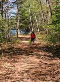 Rear view of man walking in forest