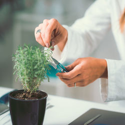 Midsection of female scientist cutting potted plant in laboratory