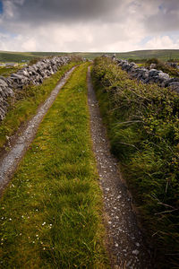 Tire tracks on grassy field against cloudy sky