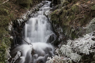 Close-up of waterfall against trees