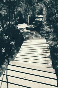 Footpath leading to staircase