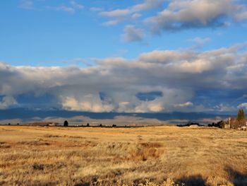 Scenic view of field against sky