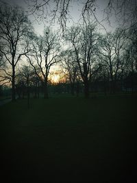 Bare trees on field against sky