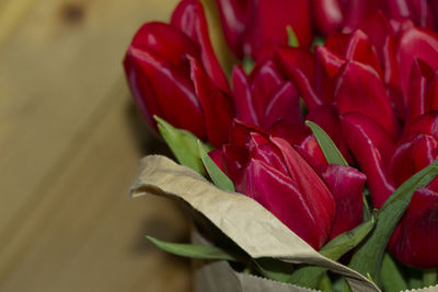 Close-up of rose plant