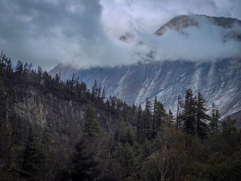 Scenic view of trees and mountains against sky