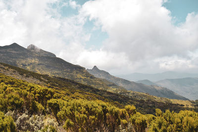 Scenic view of mountains against sky, elephant hill in the aberdare ranges, kenya 