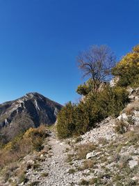 Scenic view of landscape against clear blue sky