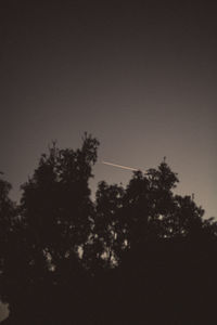 Low angle view of trees against sky