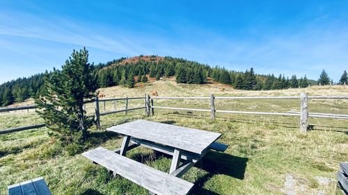 Trees on field against sky