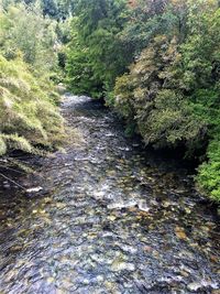 High angle view of water flowing in park