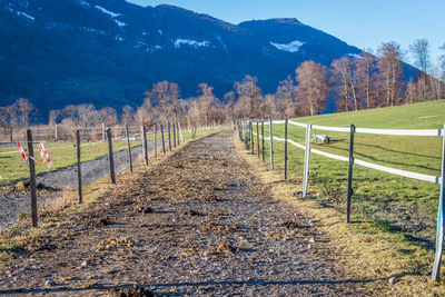 Scenic view of field by mountains against sky