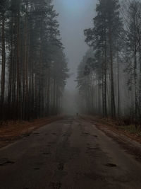 Road amidst trees in forest during foggy weather