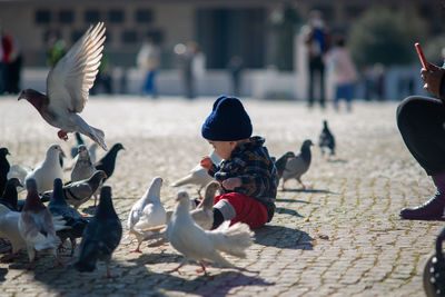 Baby enjoying to feed  pidgeons