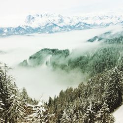 Scenic view of snow covered mountains