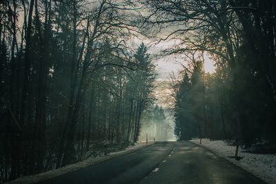 Road amidst trees in forest during winter